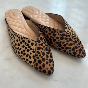 Birdies Swan Mule Slides - Leopard Cheetah Print - Size 9